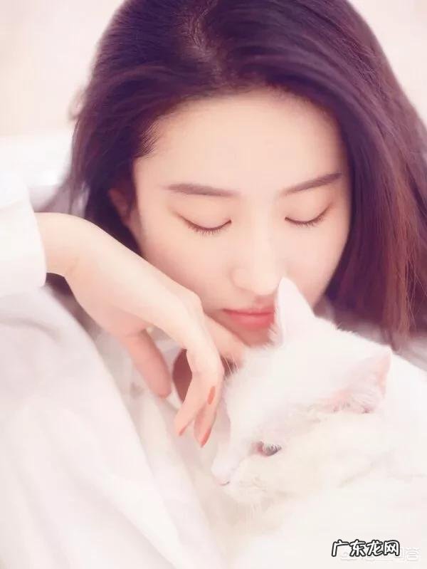 喜欢猫的明星有很多,你觉得哪个明星最喜欢猫?