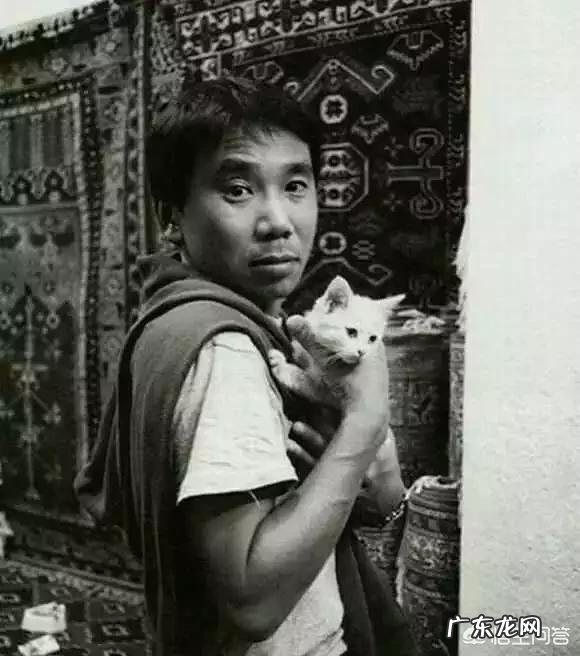 喜欢猫的明星有很多,你觉得哪个明星最喜欢猫?