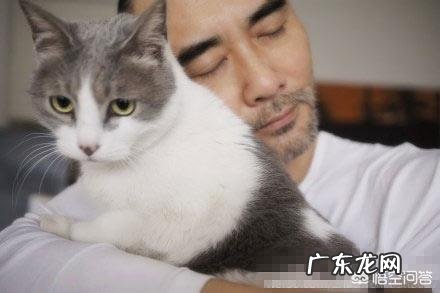 喜欢猫的明星有很多,你觉得哪个明星最喜欢猫?