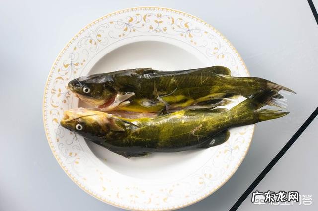 有什么适合小两口的,快速简单的晚餐推荐?