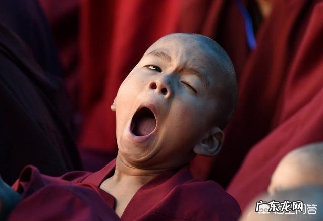 打哈欠会传染吗？