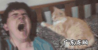 打哈欠会传染吗？