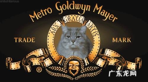 打哈欠会传染吗？