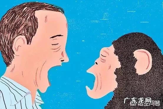 打哈欠会传染吗？