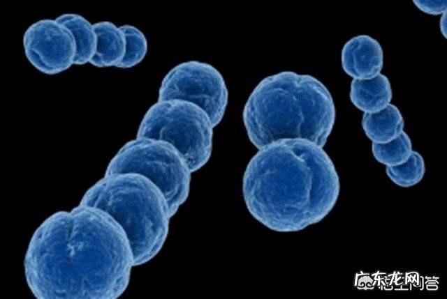 怀孕38周发现B族链球菌阳性，这是什么原因导致的？危险吗？