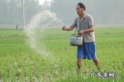 有机肥与无机肥的区别是什么?