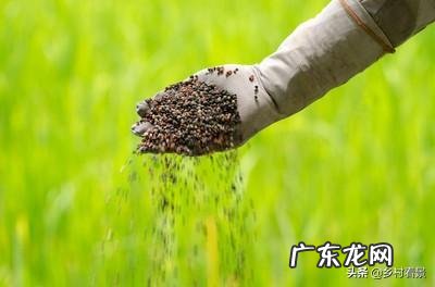 有机肥与无机肥的区别是什么?