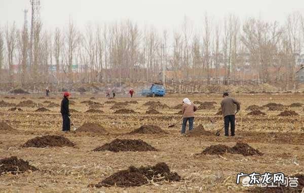 有机肥与无机肥的区别是什么?