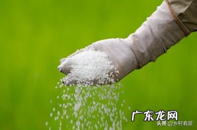 有机肥与无机肥的区别是什么?