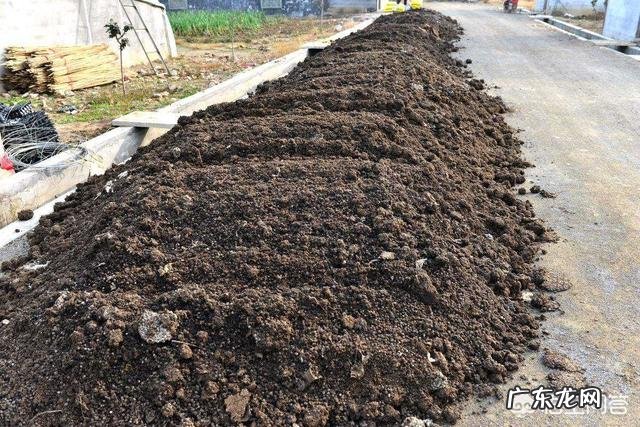 有机肥与无机肥的区别是什么?