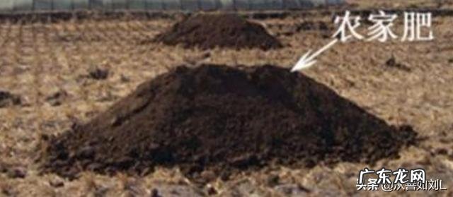 有机肥与无机肥的区别是什么?