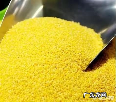 有多少人有喝小米粥的习惯?小米粥有什么营养价值?