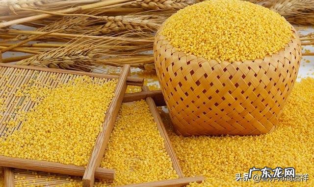 有多少人有喝小米粥的习惯?小米粥有什么营养价值?