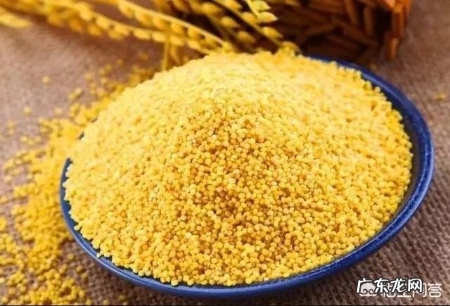 有多少人有喝小米粥的习惯?小米粥有什么营养价值?