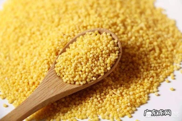 有多少人有喝小米粥的习惯？小米粥有什么营养价值？