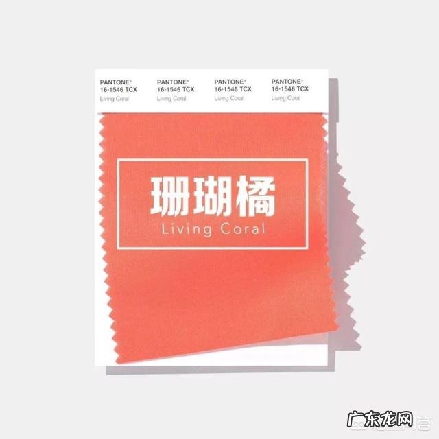 2019年秋季流行什么色?