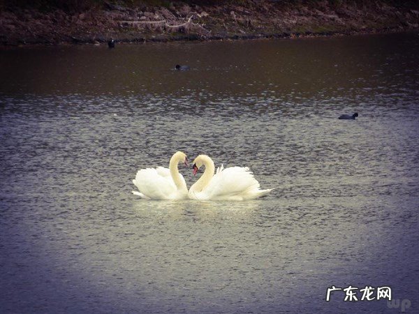 签名怎么写 七夕签名说说