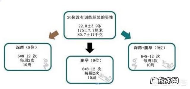 怎么样能够迅速有效地提高自己的弹跳能力?