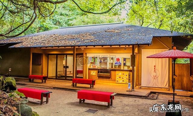 文字控句子迷有哪些让你产生我一辈子都写不出来的想法的句子？