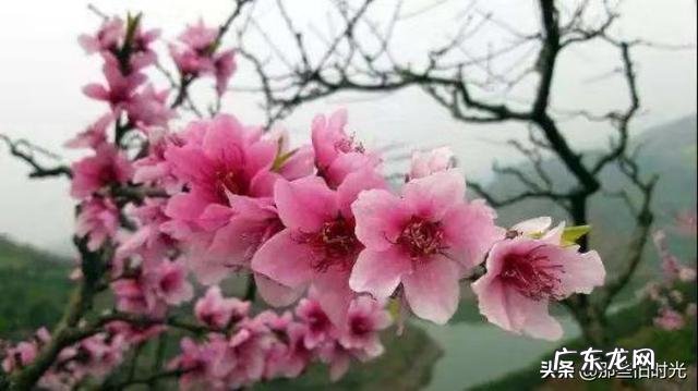 立春当天睛好,还是阴天好?