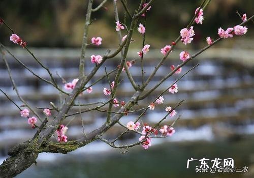 立春当天睛好，还是阴天好？