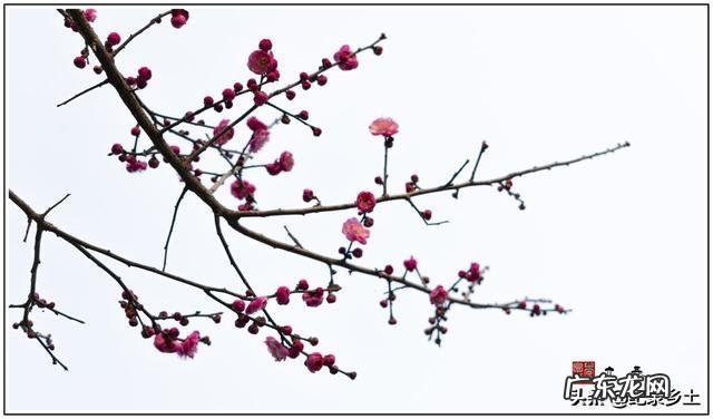 立春当天睛好,还是阴天好?