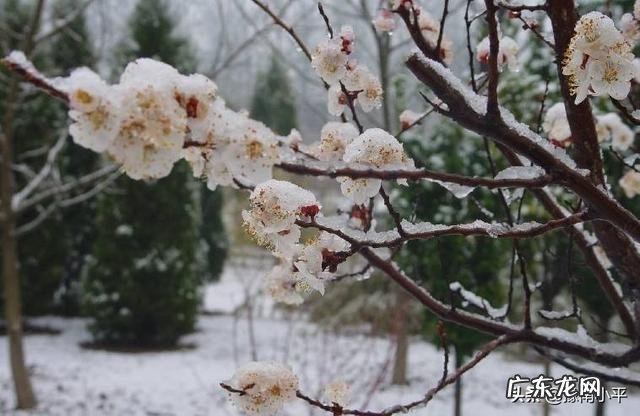 立春当天睛好，还是阴天好？