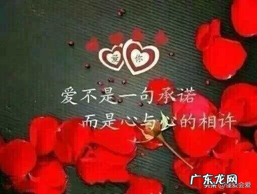 网恋靠谱吗,能相信吗?