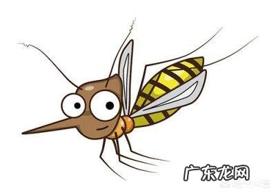 听说蚊子咬人也要挑血型,这是真的吗?