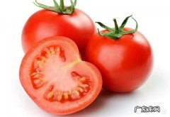 西红柿有哪些功效？女性吃了能起到美容作用吗？