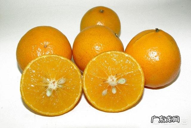 今年的皇帝柑为什么比去年的小很多?是什么原因导致?