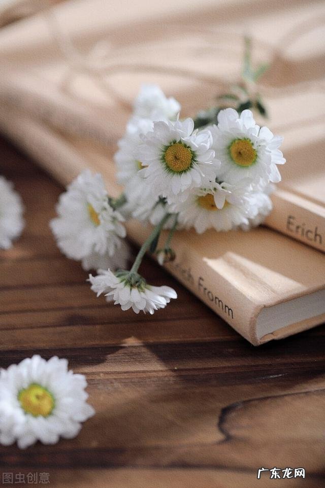 你遇到过哪些让自己感动的句子？