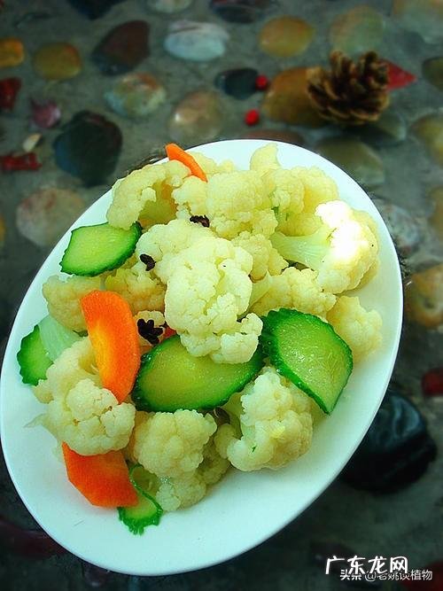 花叶菜的作用是什么?