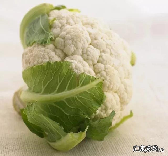 花叶菜的作用是什么?