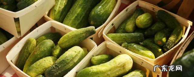 自制酸黄瓜的腌制方法