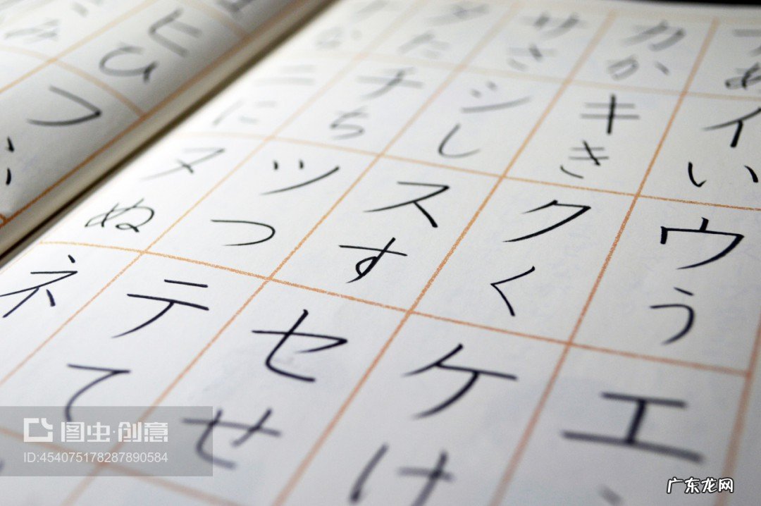 suki日语是什么意思