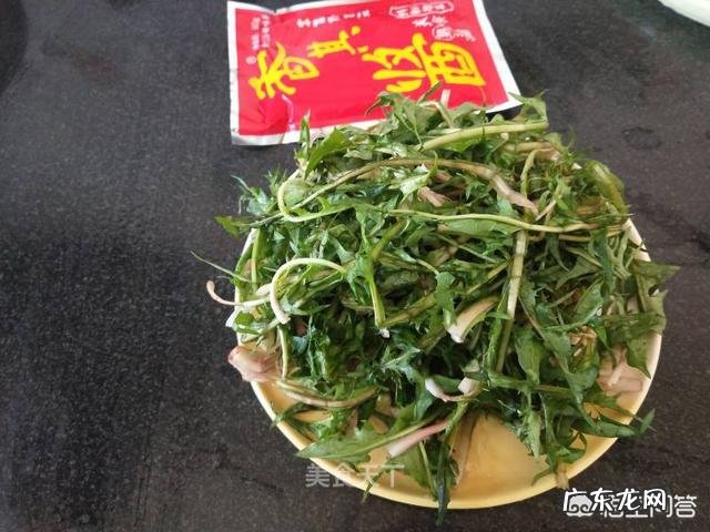 春天你们那里都有什么野菜？多吃哪种野菜好？