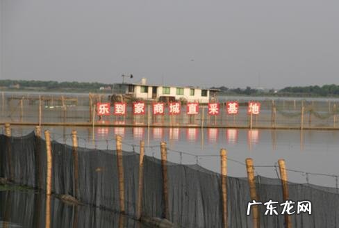 大闸蟹正确的做法和吃饭是什么？