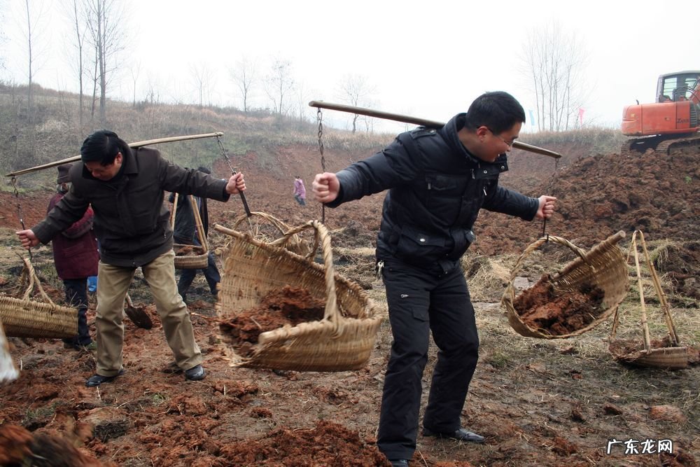 觉得家里风水不好？这五种方法可以帮你！ 感觉房子风水不好怎么办