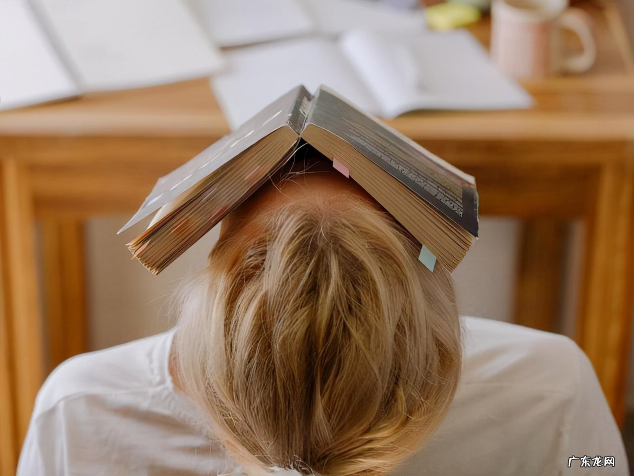 工作经验怎么写 工作经验怎么写的范文