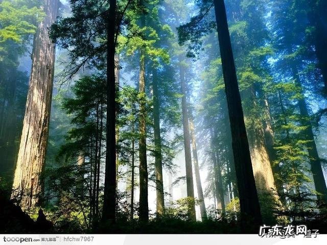 现在，养生的方法很多，你以为哪种方法比较靠谱？怎么做，才是真正养生？