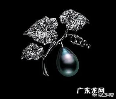 黑色宝石有哪些珍贵品种?