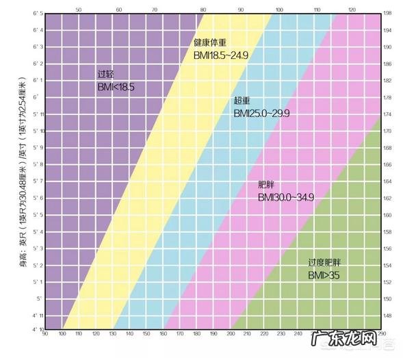 均衡健康的饮食有助于减肥,均衡健康的饮食包括哪些?