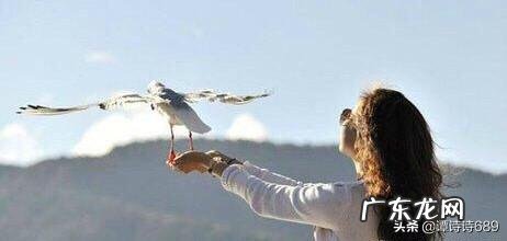 有没有看透红尘不染世俗不食人间烟火的句子?