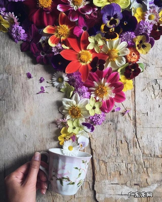 有没有看透红尘不染世俗不食人间烟火的句子？