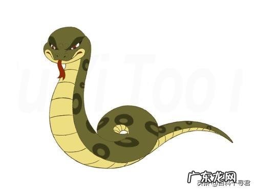 世界上最大的蛇是什么蛇?