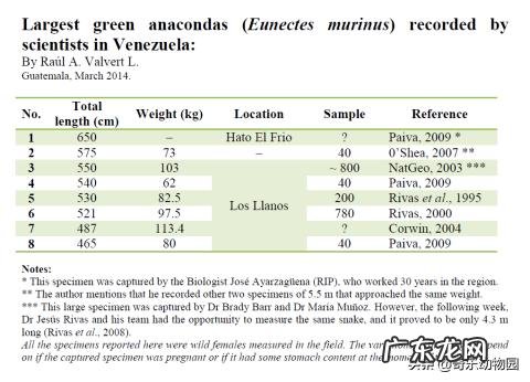 世界上最大的蛇是什么蛇?
