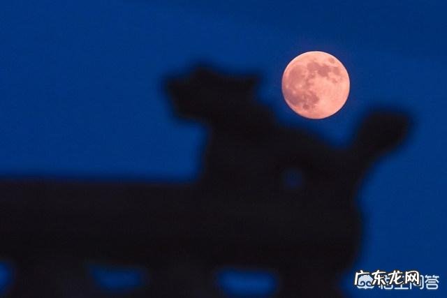 一年一度的中秋节快到了想给远方的朋友寄去一份心意除了送月饼还有哪些东西适合呢？
