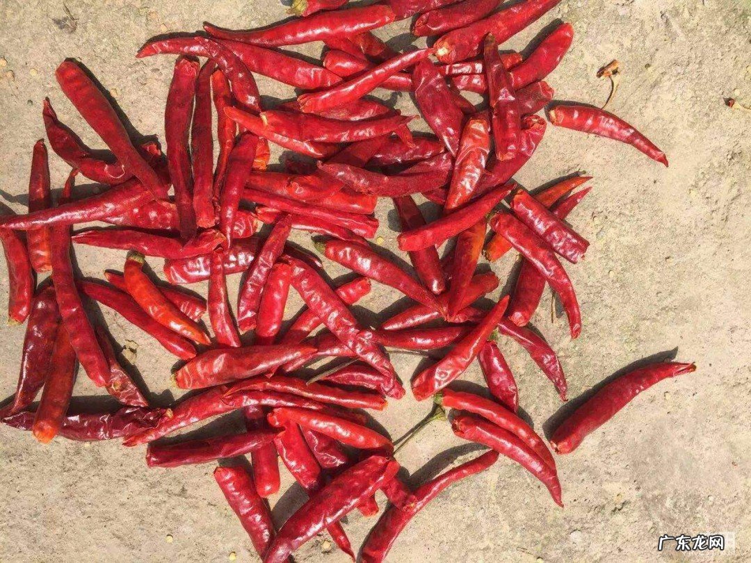 切完辣椒后手很辣怎么办蚂蚁庄园