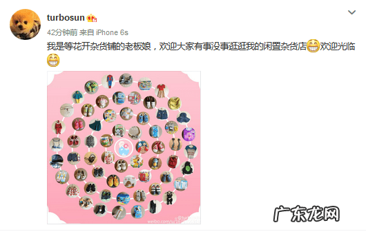 孙俪杂货铺叫什么名字 孙俪的杂货铺叫什么